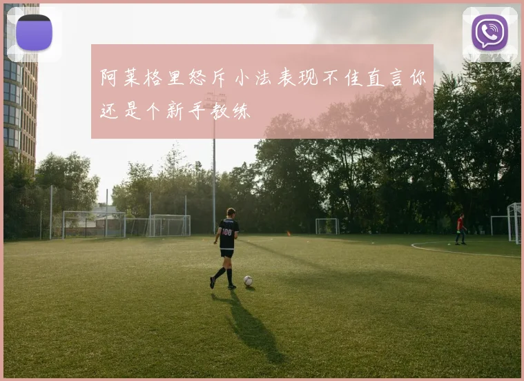 阿莱格里怒斥小法表现不佳直言你还是个新手教练
